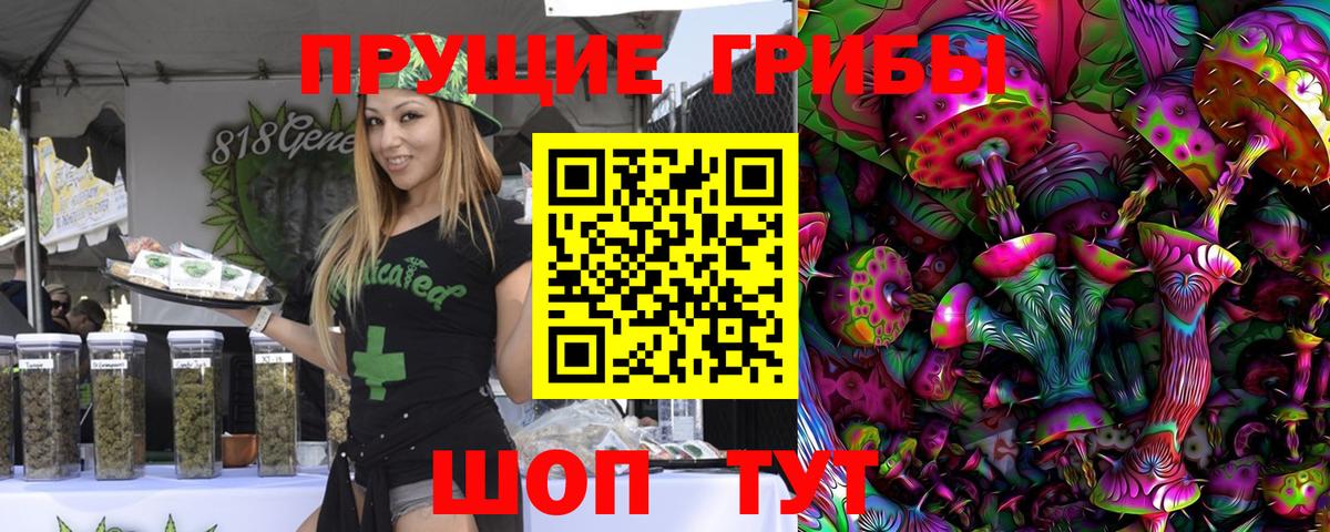 Коркино  Псилоцибиновые грибы Cubensis  Вход с VPN 
